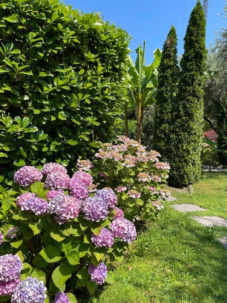Appartamento La Perla Torri Del Benaco Exterior photo